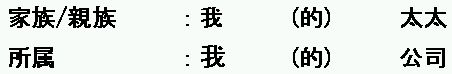 連体修飾語(名詞)を修飾し、所有関係/物の説明を表現する「限定文」の「的」の中国語文法